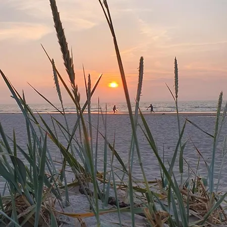 Perlowa Oaza Pearl * רוגובו