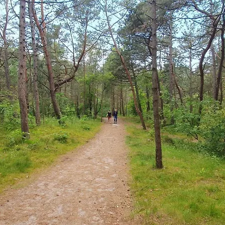 Perlowa Oaza Pearl דירה רוגובו