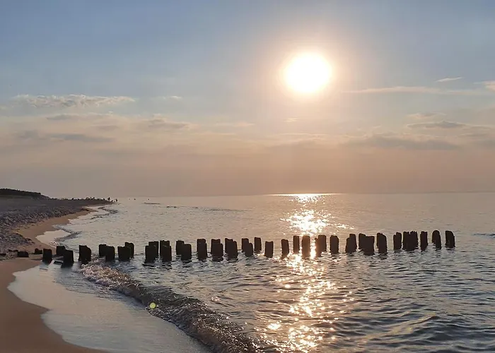 Perlowa Oaza Pearl *