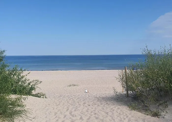 Perlowa Oaza Pearl ロゴボ