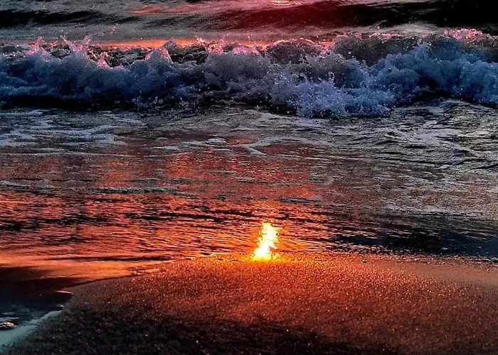 Perlowa Oaza Pearl アパート *