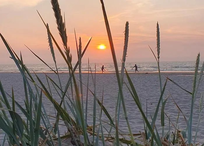 Perlowa Oaza Pearl * ロゴボ