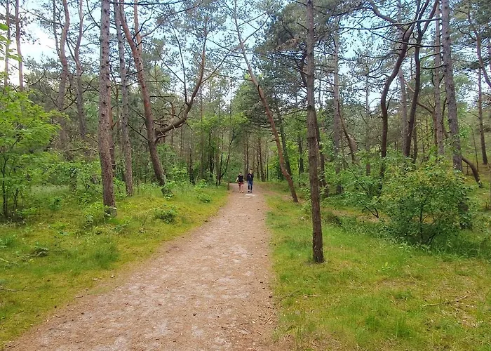 Perlowa Oaza Pearl アパート ロゴボ